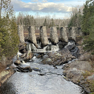 Meet your Posher, Lily